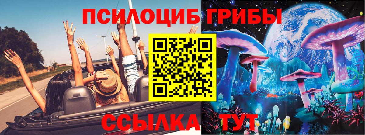 Псилоцибиновые грибы Psilocybe  наркошоп  Людиново  Вход с VPN  Галлюциногенные грибы прущие грибы 